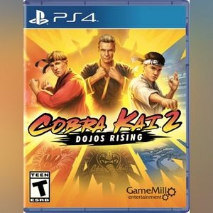 Cobra kai playstation 4 game